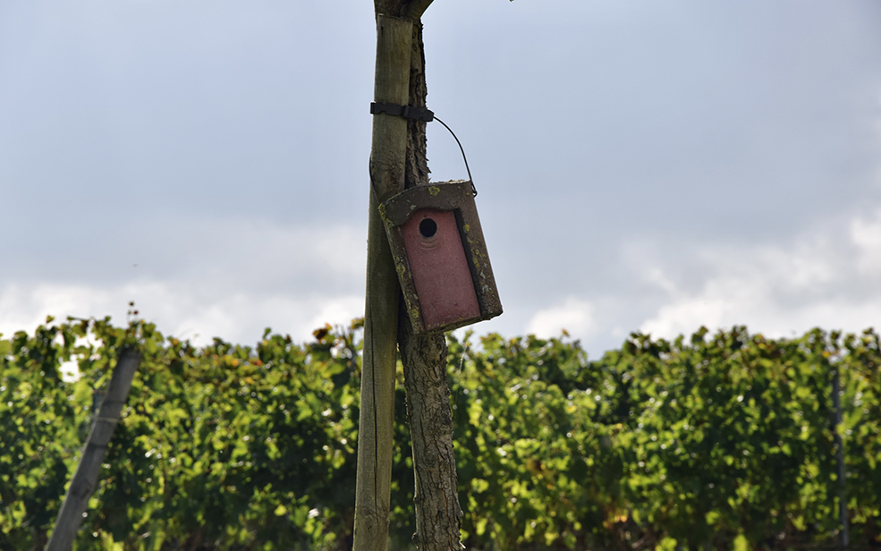 Engagements - Château Badette